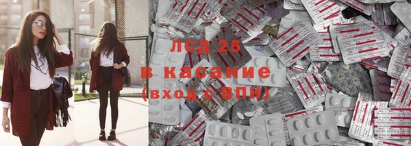 spice Алзамай