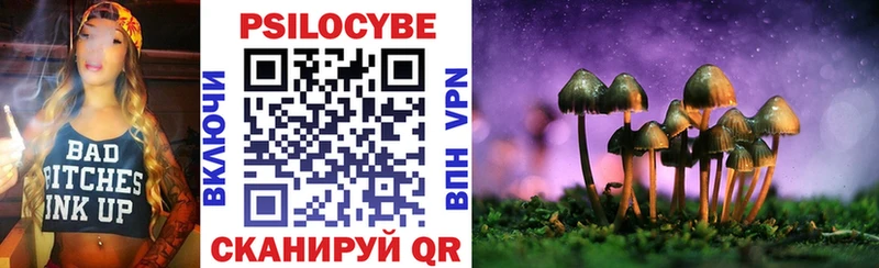 где найти наркотики  Анжеро-Судженск  Псилоцибиновые грибы Psilocybine cubensis 